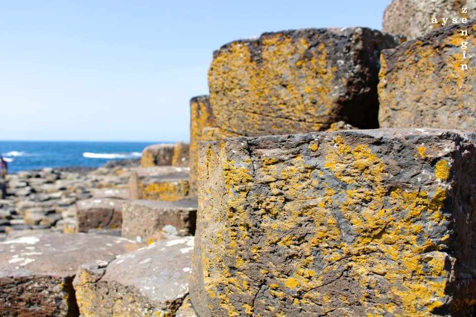 IMG_6647watermarked-1